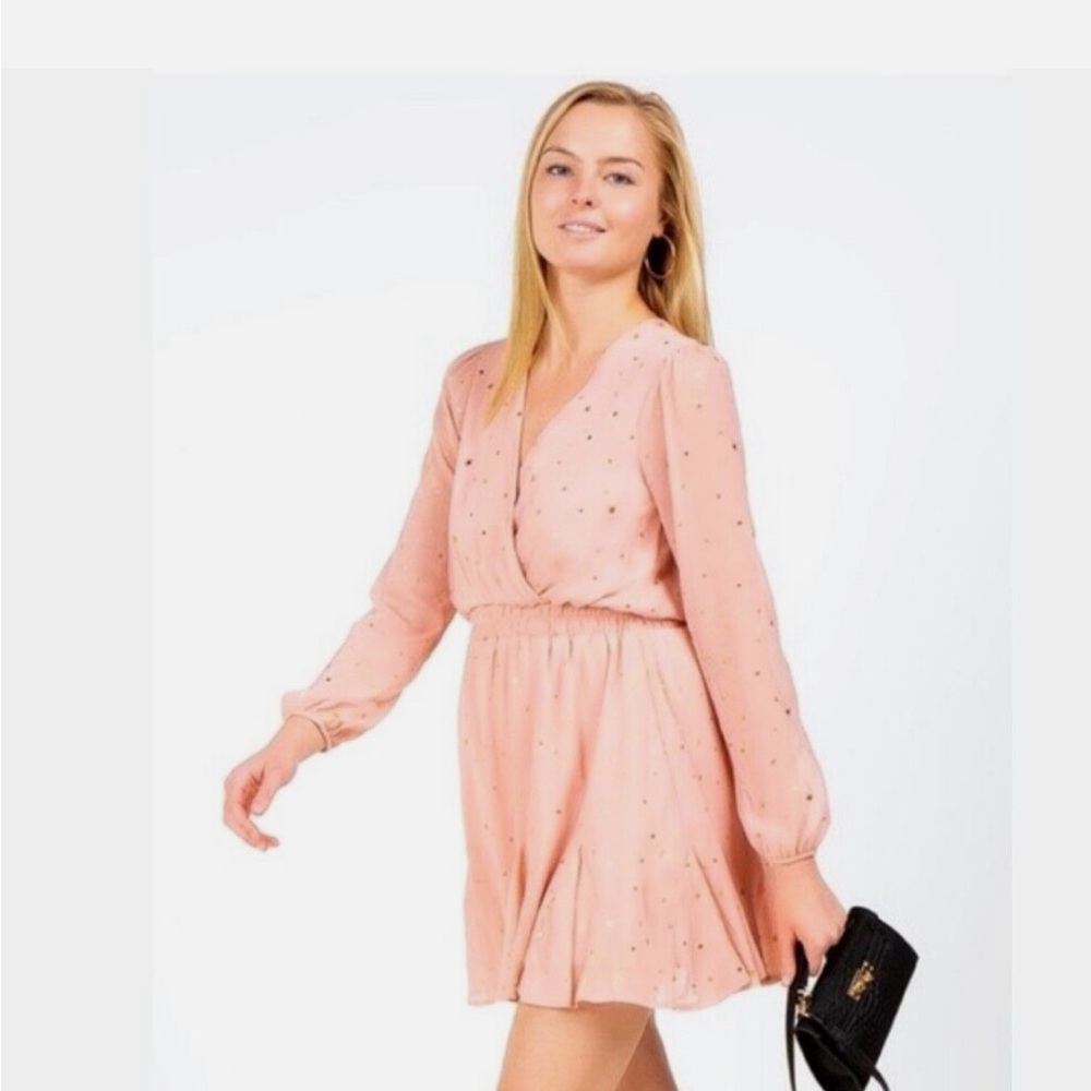 Long Sleeve Mini Dress for Spring: Pink Short Dress